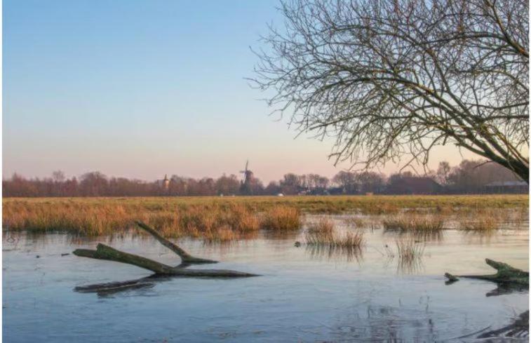 Sari Villa Steendam Kültér fotó